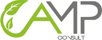 amp-consult.com - 